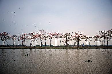 《Wild Heart》7分钟实机演示  动作流畅灵活